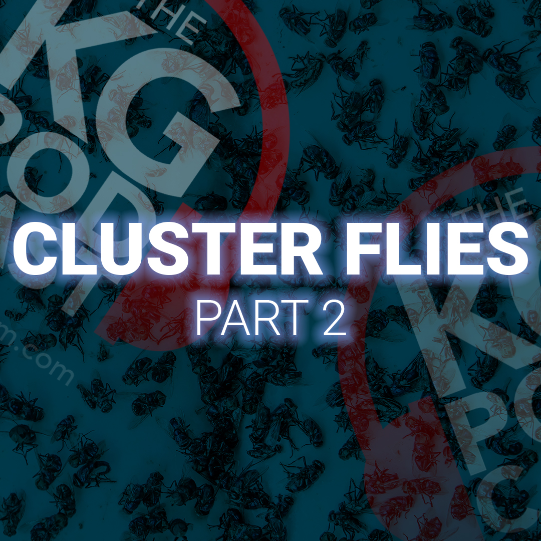 Episode 36: Cluster Flies – Part 2 - Killgerm Podcast